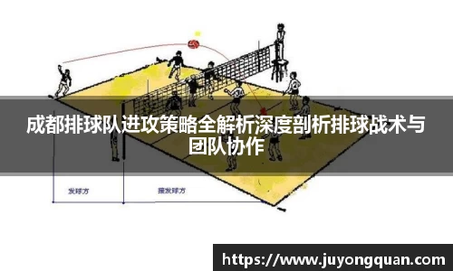 成都排球队进攻策略全解析深度剖析排球战术与团队协作
