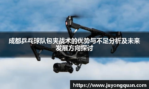 成都乒乓球队包夹战术的优势与不足分析及未来发展方向探讨