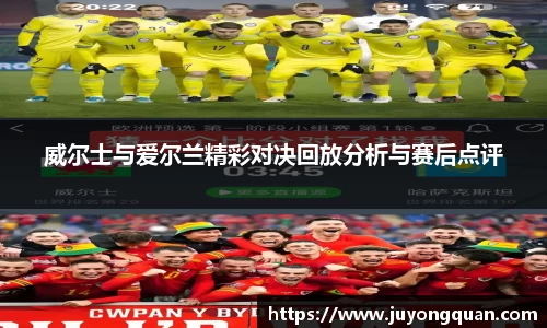 威尔士与爱尔兰精彩对决回放分析与赛后点评